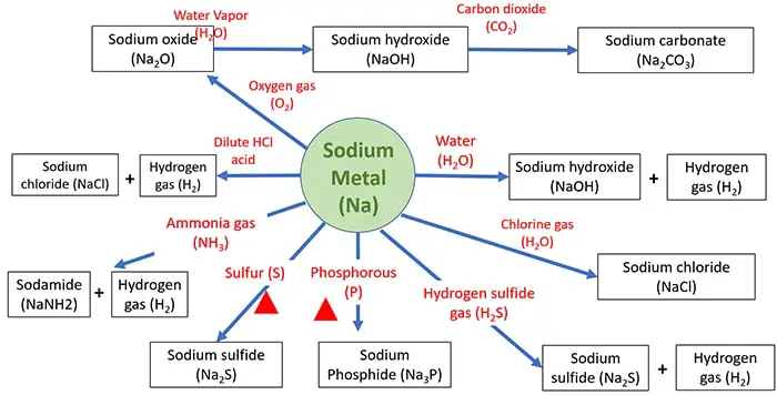 reactions of sodium metal